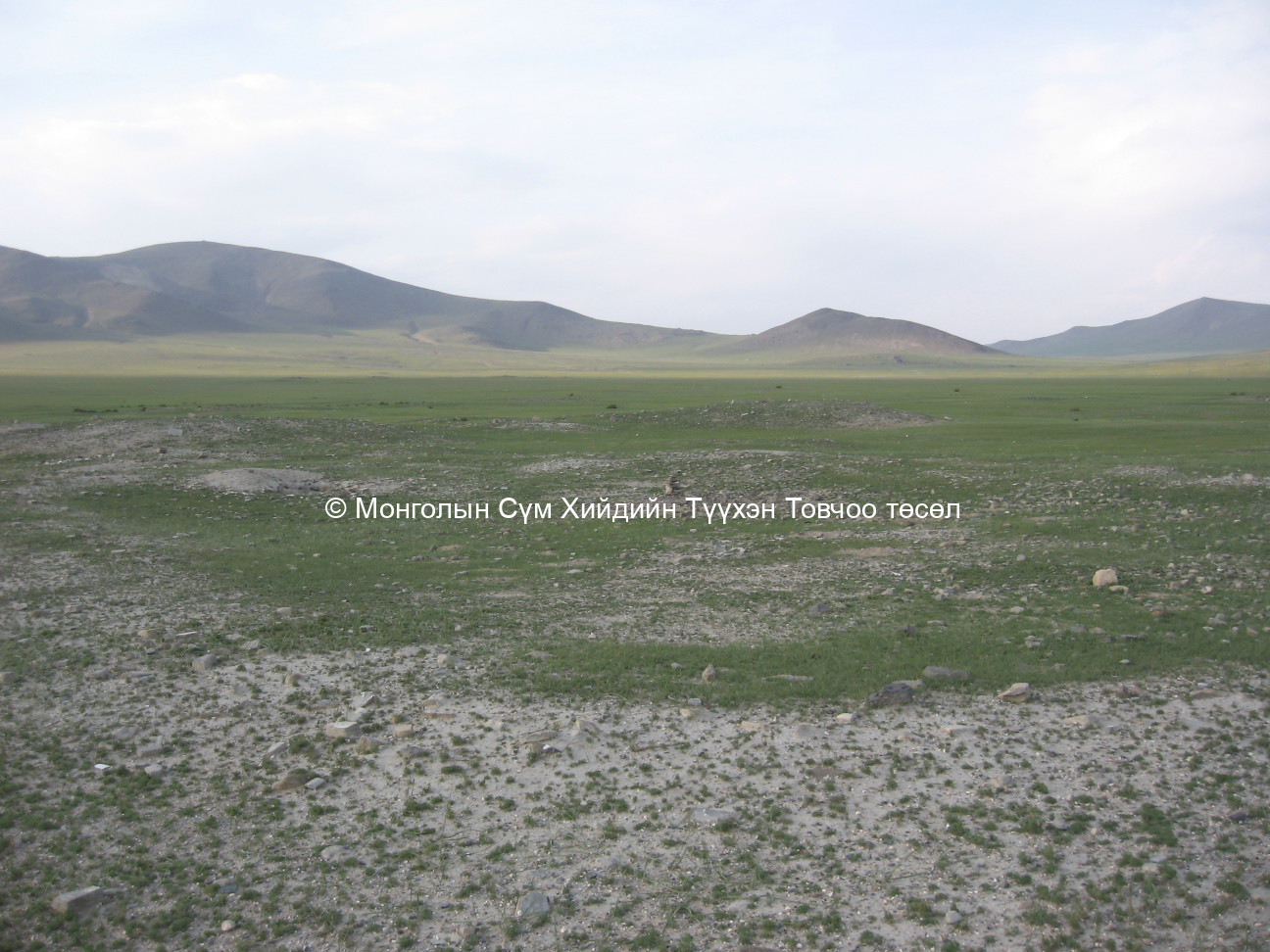 Баруун-Өмнөд талаас авсан